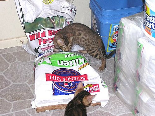 Lancelot Hey this smells good too